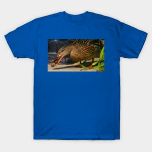 Snack time T-Shirt